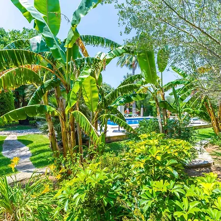 Sunny With Private Pool, Ac And Wifi Ferienhaus *