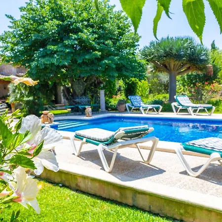 Sunny With Private Pool, Ac And Wifi Dom wakacyjny