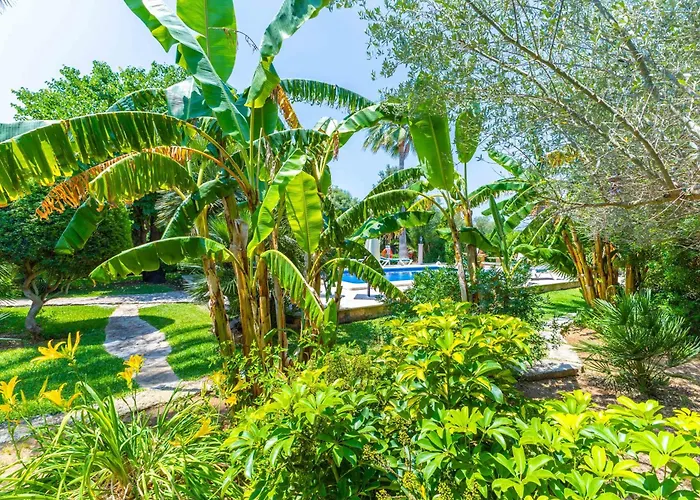 Sunny With Private Pool, Ac And Wifi Semesterbostad *